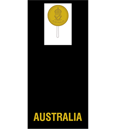 Rank epaulet Midshipman
