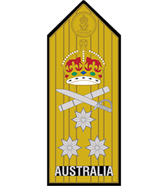 Rank epaulet Vice Admiral
